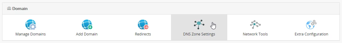DNS-Zoneneinstellungen