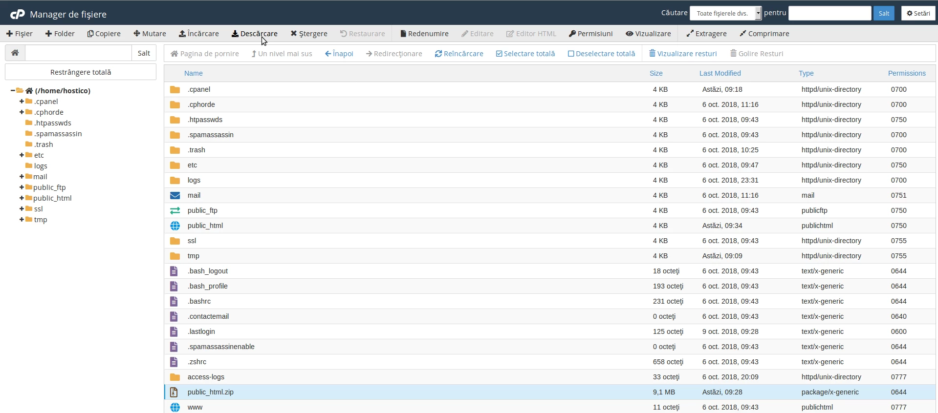 Sectiunea Manager de fisiere